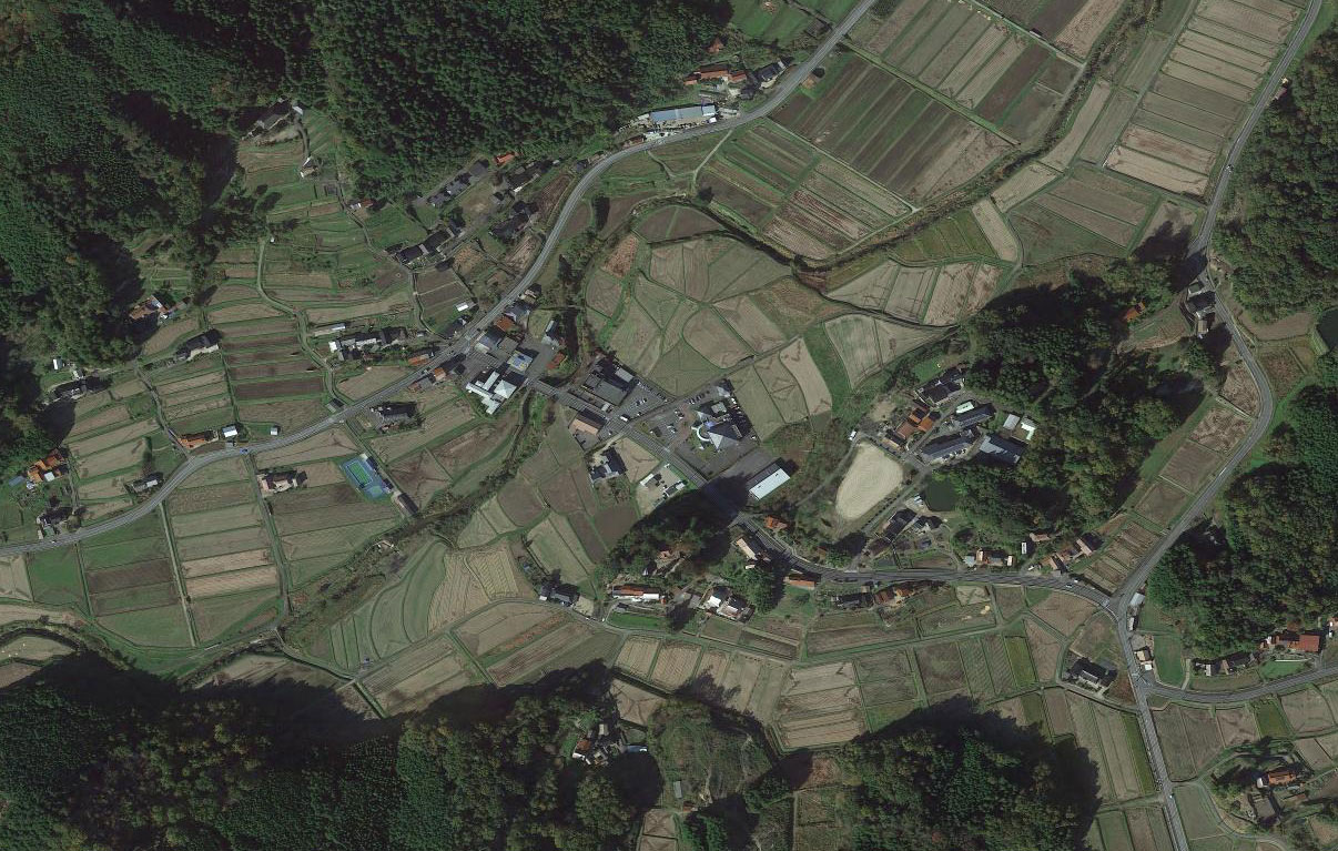 农村卫星影像
