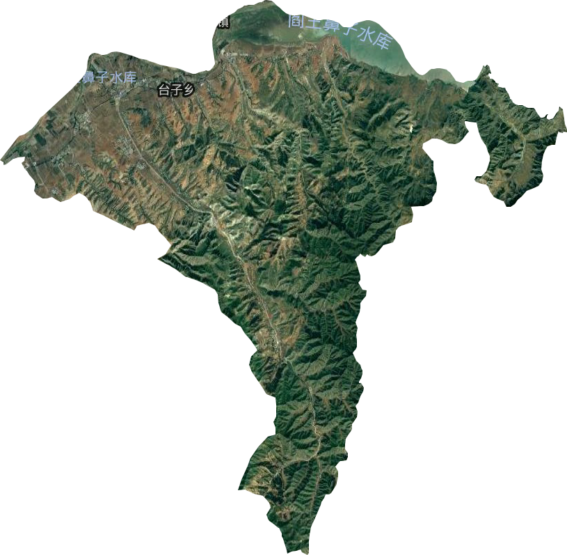台子乡卫星图
