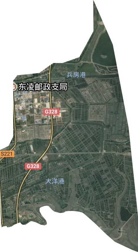 如东东安科技园区卫星图