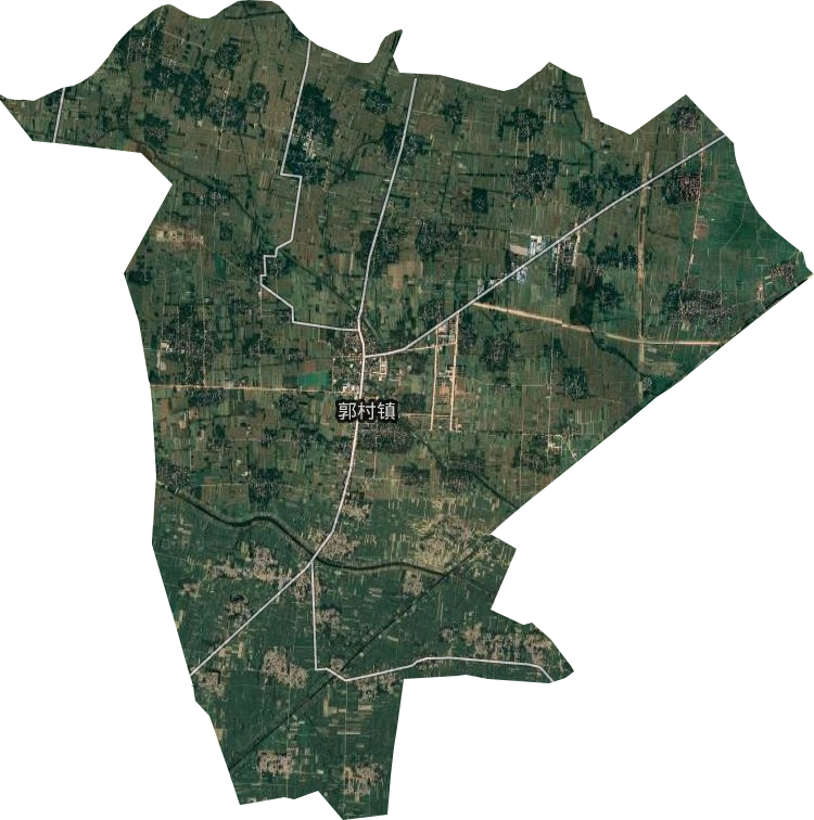 郭村镇卫星图