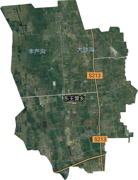 东王营乡卫星图
