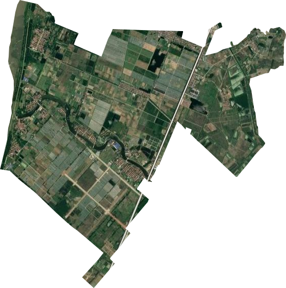 大潭原种场卫星图