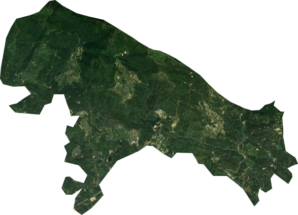 青坑林场卫星图