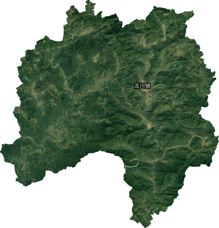 龙川镇卫星图