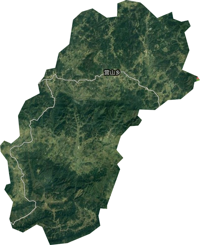 营山乡卫星图