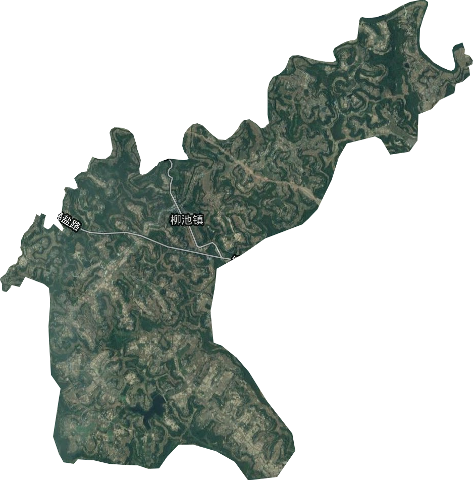 柳池镇卫星图