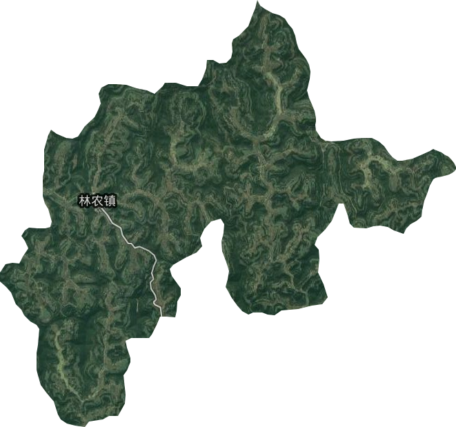 林农镇卫星图