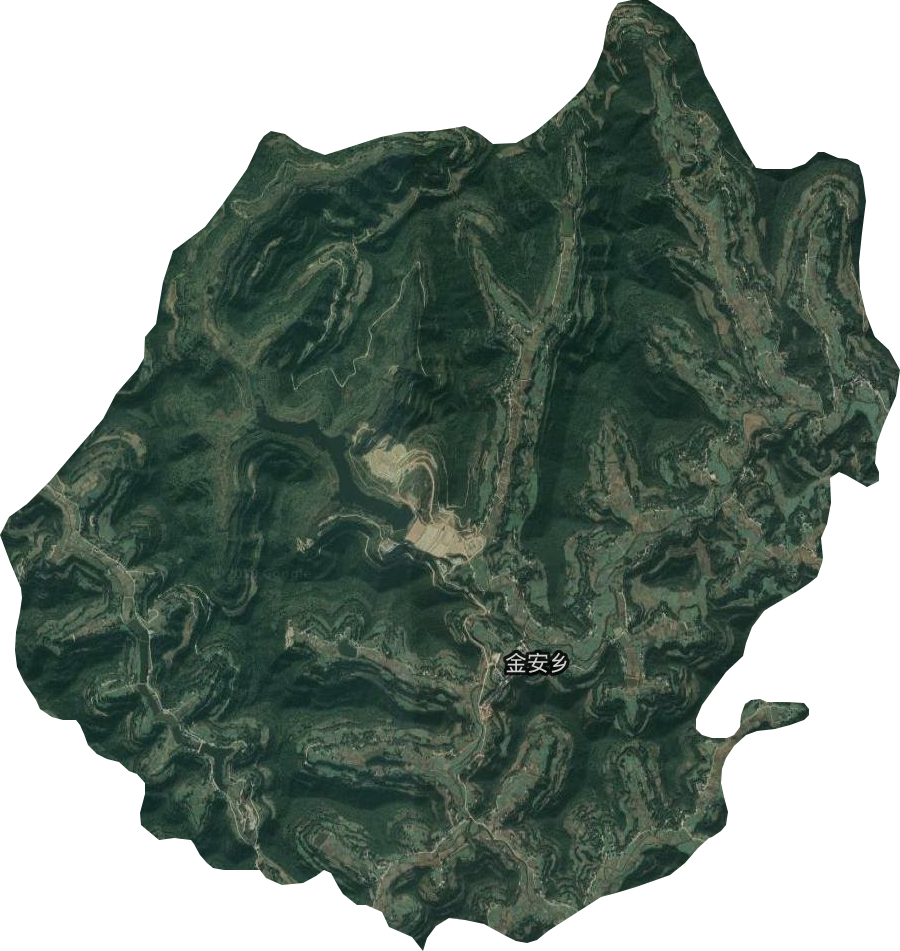 金安乡卫星图