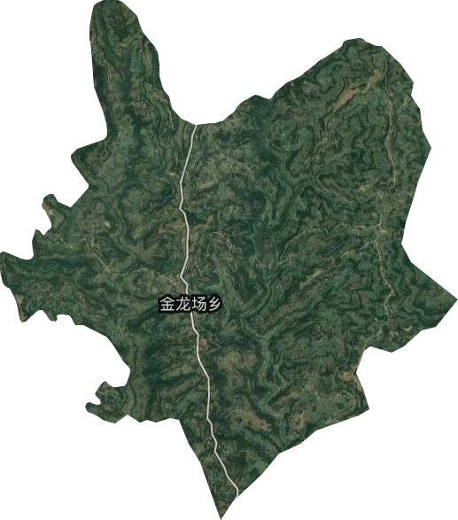 金龙场乡卫星图