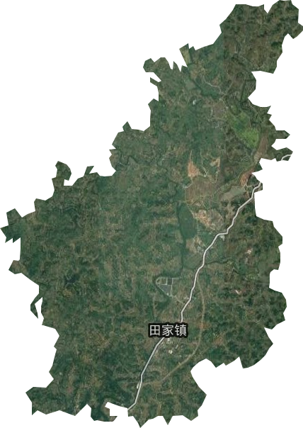 田家镇卫星图