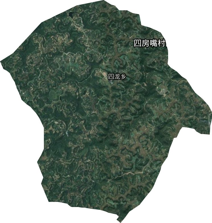 四龙乡卫星图