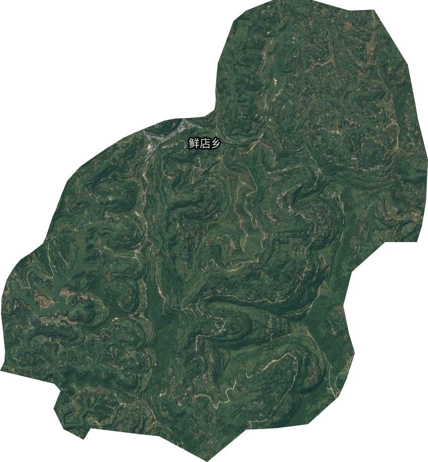 鲜店乡卫星图