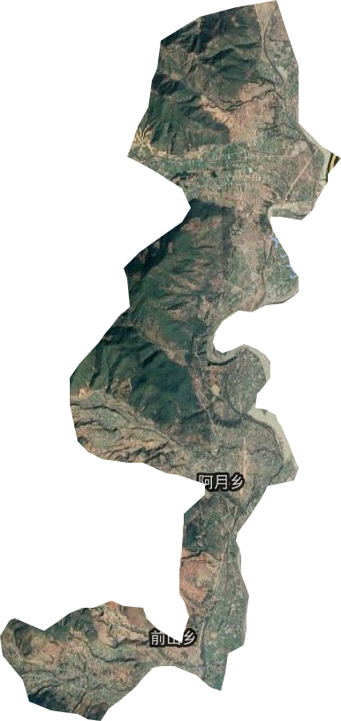 阿月镇卫星图