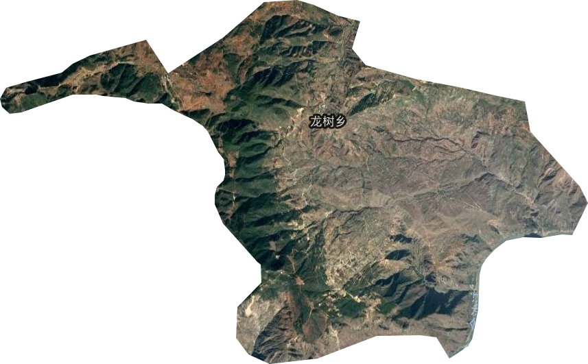 龙树乡卫星图