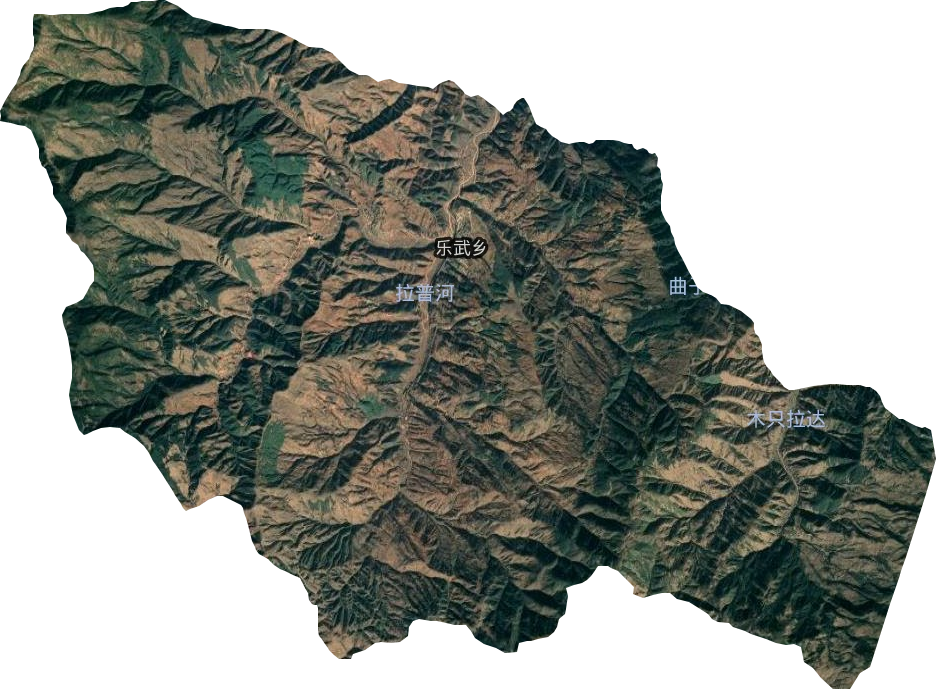 乐武乡卫星图