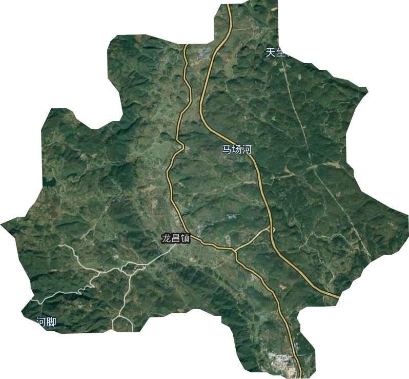 龙昌镇卫星图
