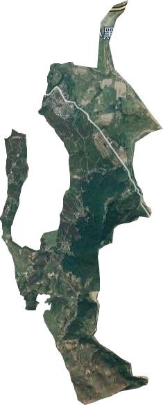 勐省农场卫星图