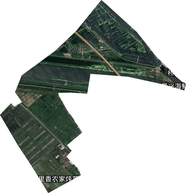 曙光农场卫星图