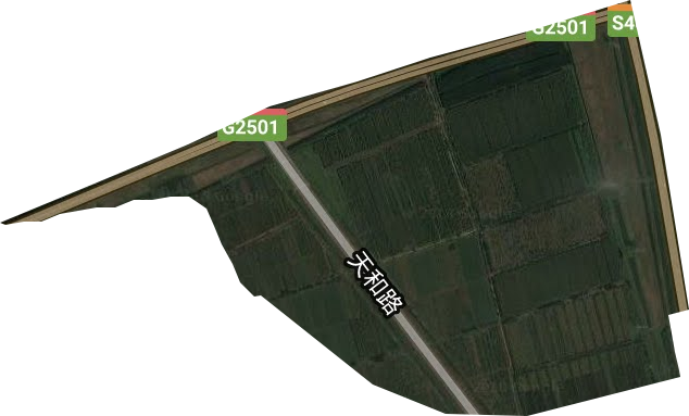 武清农场卫星图