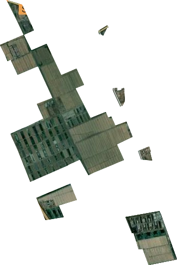 大钟农场卫星图