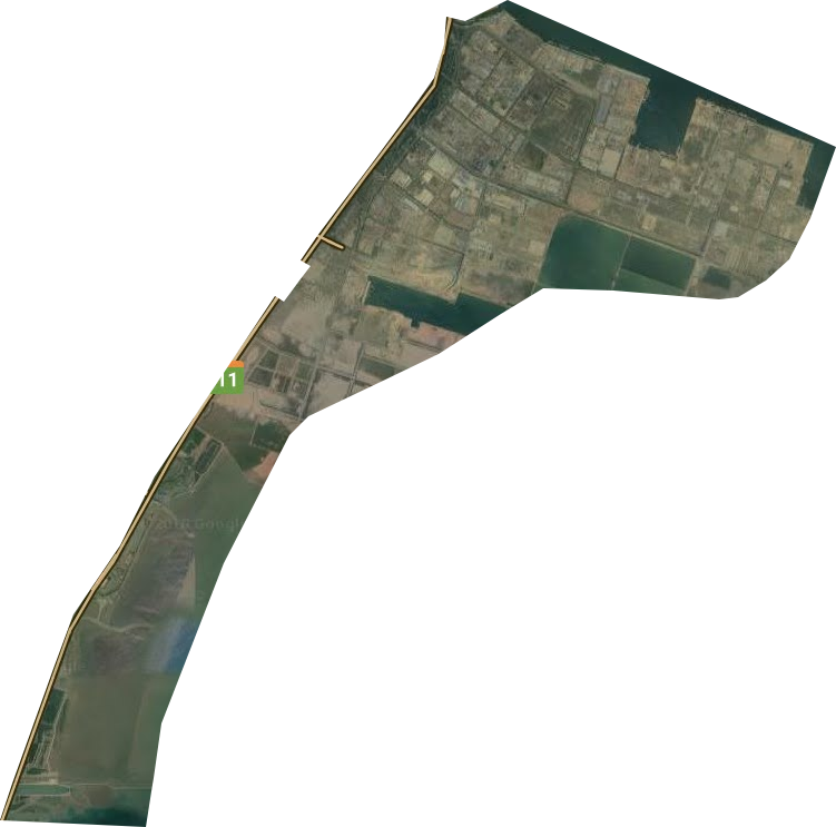 临港工业区卫星图