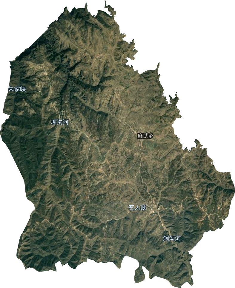 麻武乡卫星图