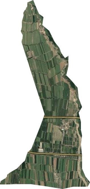 干河子林场卫星图