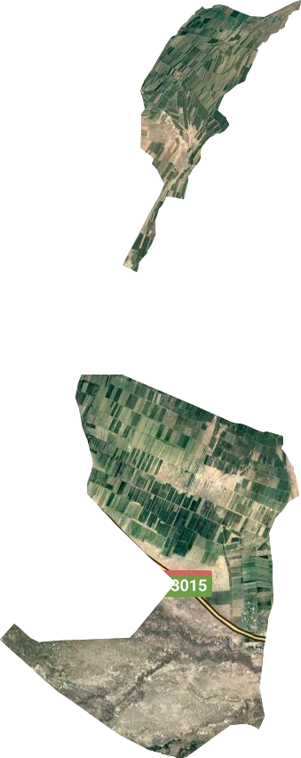 恰合吉牧场卫星图