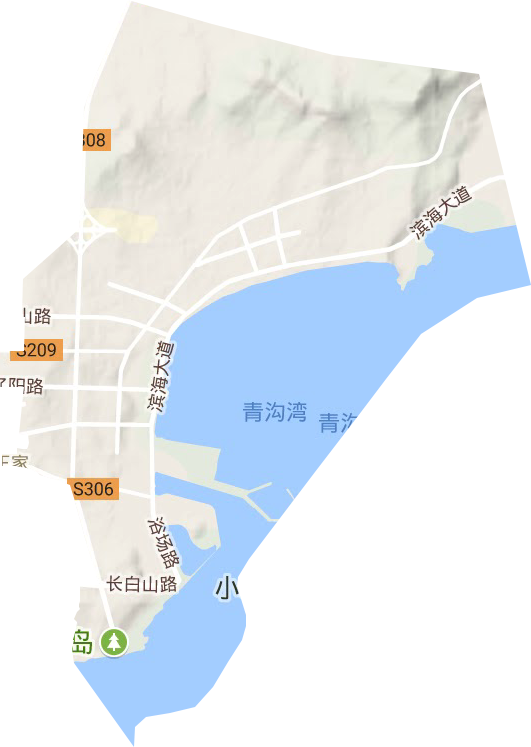 王家街道地形图