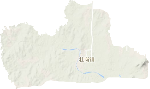 壮岗镇地形图