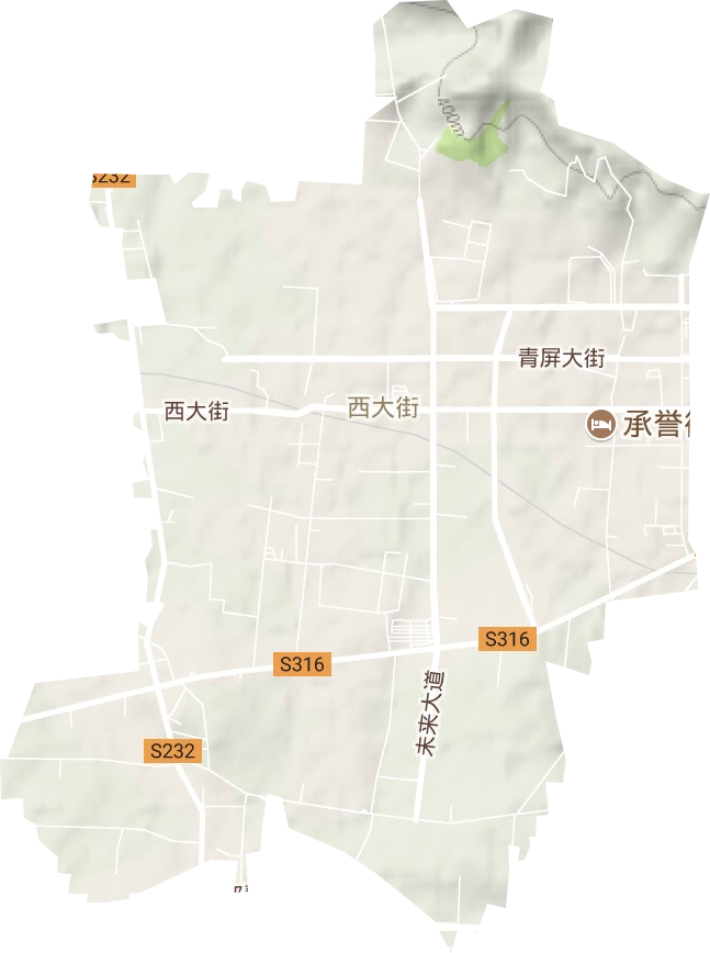 西大街街道地形图