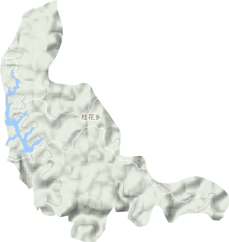 桂花乡地形图