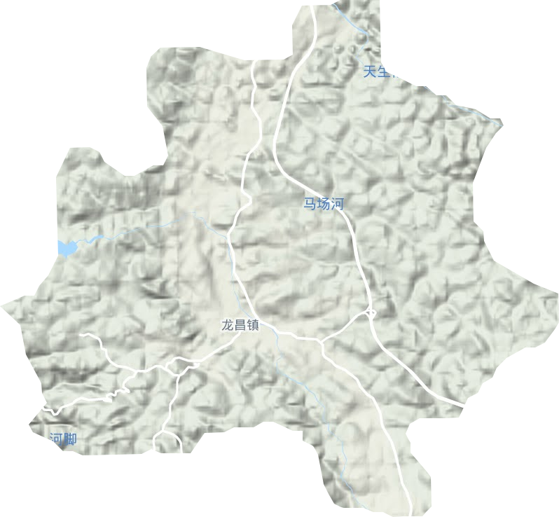 龙昌镇地形图