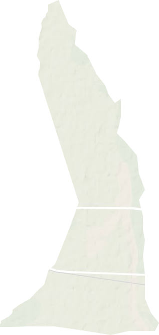 干河子林场地形图
